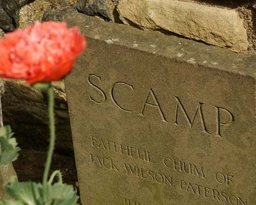 Picture of Scamp the dogs gravestone with a flower