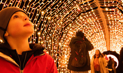 A boy enjoying one of the light displays at the castle