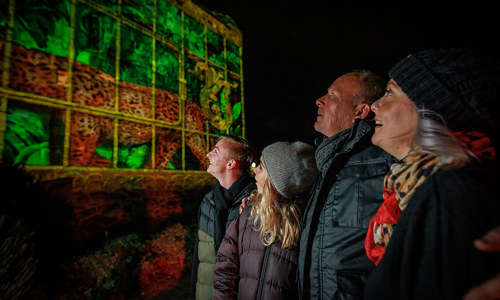 Four people looking at a light projection on a wall