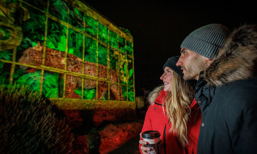 A couple looking at a light projection on a wall