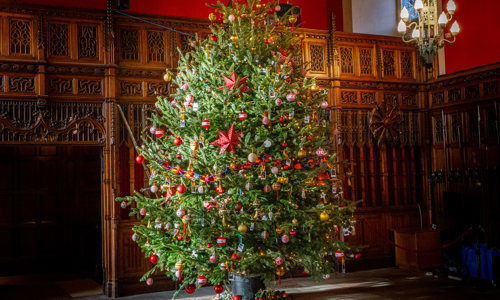 A large Christmas tree in the great hall of a castle